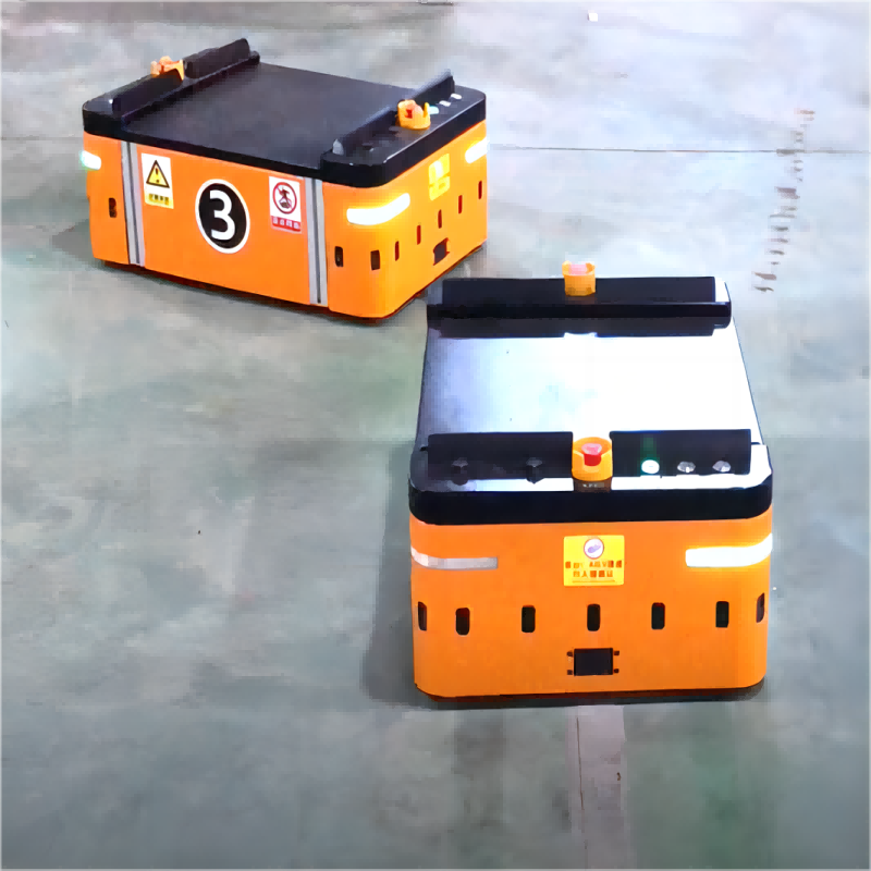 ባለ ሁለት መንገድ መድረክ አይነት AGV